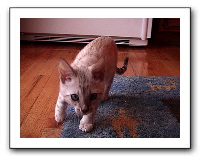 DSC00030.JPG