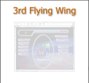 3rd Flying Wing